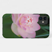 USA, Kansas, Pink Water Lilly Case-Mate iPhone Hülle (Rückseite (Horizontal))