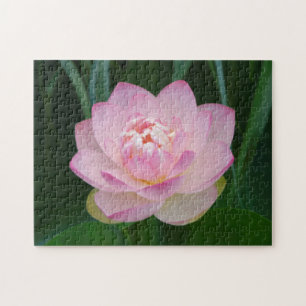USA, Kansas, Pink Water Lilly Puzzle