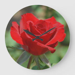 USA, Kansas, Red Rose Große Wanduhr