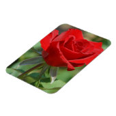 USA, Kansas, Red Rose Magnet (Linke Seite)