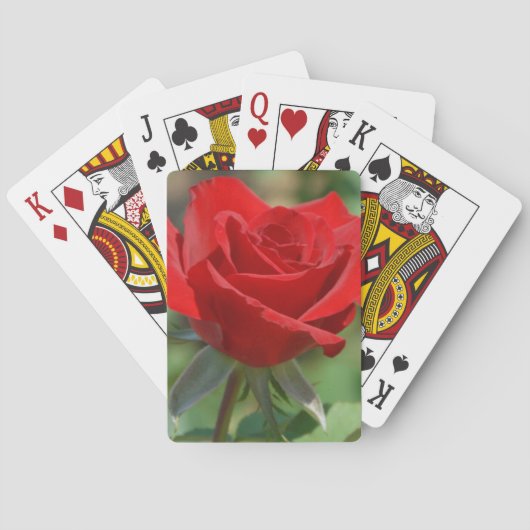 USA, Kansas, Red Rose Spielkarten (Rückseite)