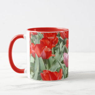 USA, Kansas, Red Tulips mit einem rosa Tulip Tasse
