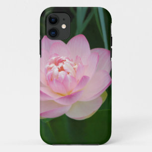 USA, Kansas, Rosa Seerose iPhone 11 Hülle