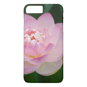 USA, Kansas, Rosa Seerose Case-Mate iPhone Hülle