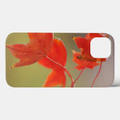 USA, Kansas, Rote Blätter im frühen Herbst Case-Mate iPhone Hülle (Rückseite (Horizontal))