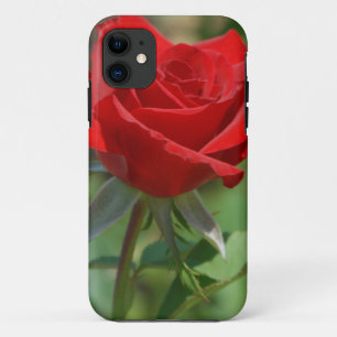 USA, Kansas, Rote Rose Case-Mate iPhone Hülle