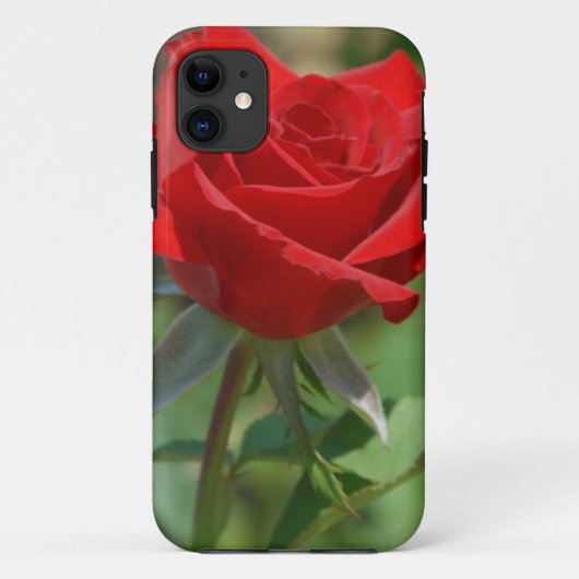 USA, Kansas, Rote Rose Case-Mate iPhone Hülle (Rückseite)