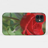 USA, Kansas, Rote Rose Case-Mate iPhone Hülle (Rückseite (Horizontal))