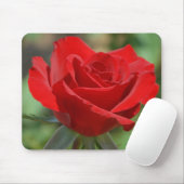 USA, Kansas, Rote Rose Mousepad (Mit Mouse)