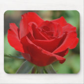 USA, Kansas, Rote Rose Mousepad (Vorne)