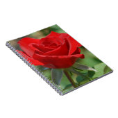USA, Kansas, Rote Rose Notizblock (Rechte Seite)
