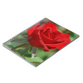 USA, Kansas, Rote Rose Notizblock (Linke Seite)