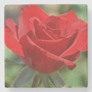 USA, Kansas, Rote Rose Steinuntersetzer