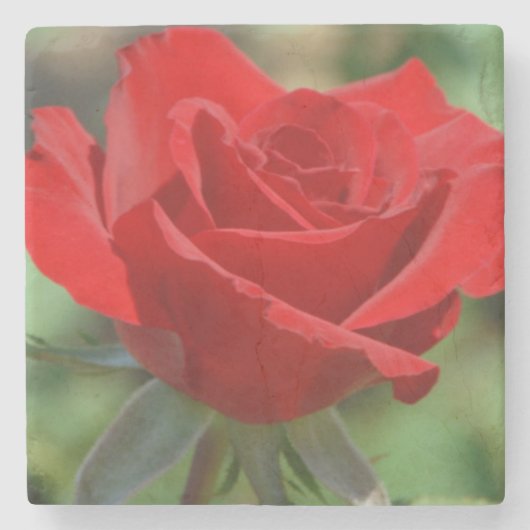 USA, Kansas, Rote Rose Steinuntersetzer (Vorderseite)