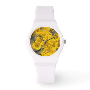 USA, Kansas. Sonnenblumen (Helianthus Annuus) Armbanduhr