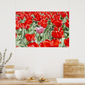 USA, Kansas. Tulpenfeld Poster (Küche)