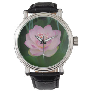 USA, Kansas, Weiße Seerose Armbanduhr