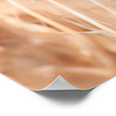 USA, Kansas, Wheat At Harvest Time Poster (Ecke)