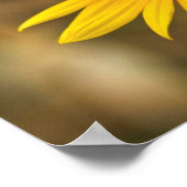 USA, Kansas. Wild Sunflower Poster (Ecke)