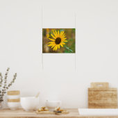 USA, Kansas. Wild Sunflower Poster (Küche)