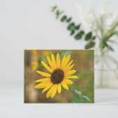 USA, Kansas. Wild Sunflower Postkarte (Stehend Vorderseite)