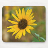USA, Kansas. Wilde Sonnenblume Mousepad (Vorne)