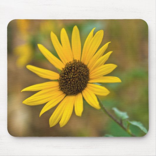 USA, Kansas. Wilde Sonnenblume Mousepad (Vorne)