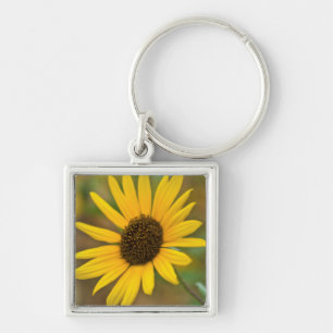 USA, Kansas. Wilde Sonnenblume Schlüsselanhänger