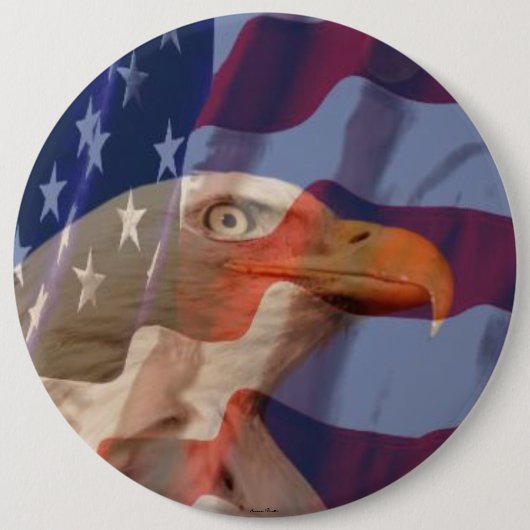 USA kennzeichnen mit Weißkopfseeadler-Knopf Button (Vorderseite)