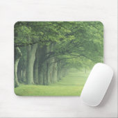USA, Kentucky. Baumreihe im Frühjahr Mousepad (Mit Mouse)