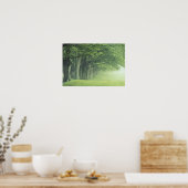 USA, Kentucky Baumreihe im Frühjahr Poster (Küche)