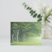 USA, Kentucky Baumreihe im Frühjahr Postkarte (Stehend Vorderseite)