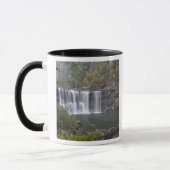 USA - Kentucky. Cumberland Falls auf Tasse (Links)