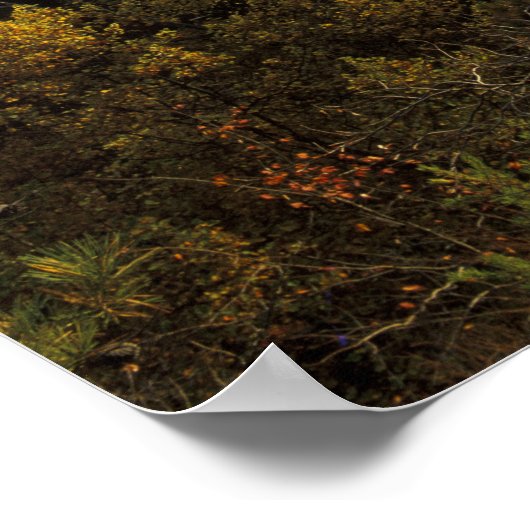 USA, Kentucky Daniel Boone National Forest. Poster (Ecke)