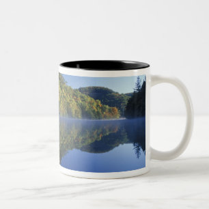USA, Kentucky. Daniel Boone National Forest, Zweifarbige Tasse