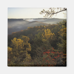 USA, Kentucky. Daniel Boone Nationalforst. Magnet