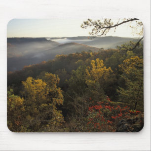 USA, Kentucky. Daniel Boone Nationalforst. Mousepad