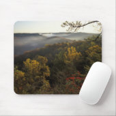 USA, Kentucky. Daniel Boone Nationalwald. Mousepad (Mit Mouse)