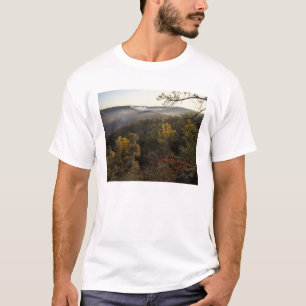 USA, Kentucky. Daniel Boone Nationalwald. T-Shirt