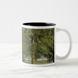 USA, Kentucky, Lexington. Baumreihe und Zweifarbige Tasse
