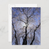 USA, Kentucky, Lexington. Hintergrundleuchte und Postkarte (Vorne/Hinten)