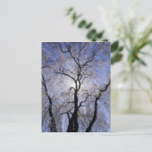 USA, Kentucky, Lexington. Hintergrundleuchte und Postkarte (Stehend Vorderseite)