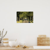 USA, Kentucky, Lexington. von Bäumen gesäumte Fahr Poster (Küche)