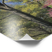 USA, Kentucky, Louisville. Eastern Redbud Fotodruck (Ecke)