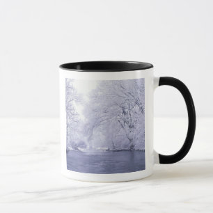 USA, Kentucky, Louisville. Schnee bedeckt Tasse