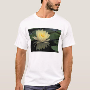 USA, Kentucky, Louisville Teichrose, T-Shirt