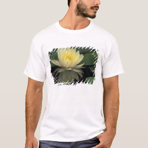 USA, Kentucky, Louisville Teichrose, T-Shirt