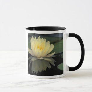 USA, Kentucky, Louisville Teichrose, Tasse