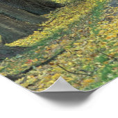 USA, Kentucky, Louisville. Treppenweg Poster (Ecke)