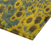 USA, Kentucky Pattern auf dem Gebiet der Kulturwir Schneidebrett (Ecke)